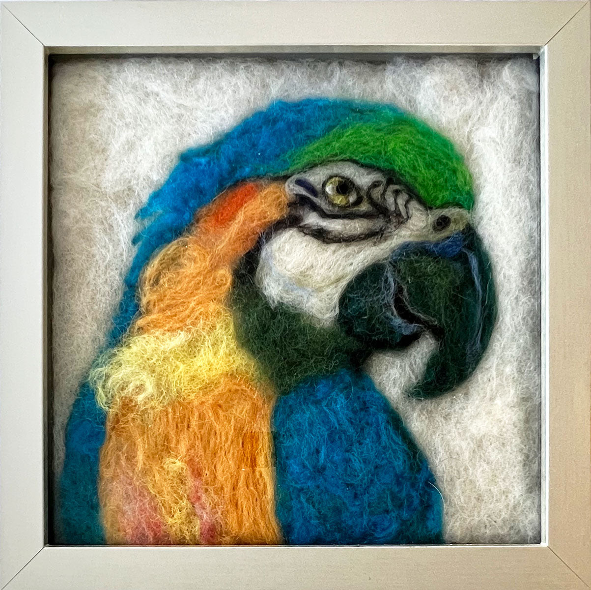 99. Macaw
