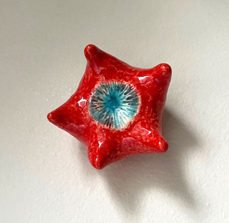 13-24 Red and Blue Dancing Sea Star Pod