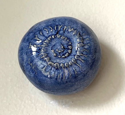 25-17  Blue Sea Spiral Pod