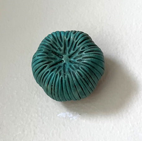25-26  Aqua Coral Garden Sea Pod