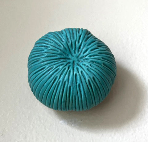 25-28  Aqua Coral Sea Garden Pod