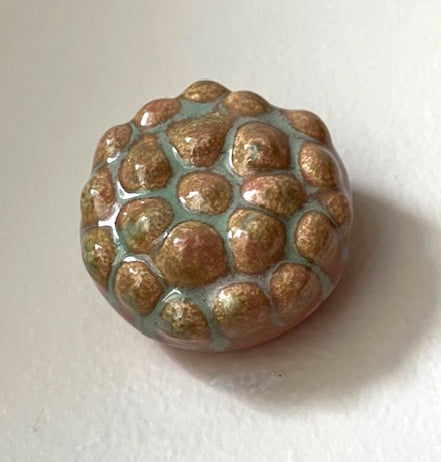 25-29  Pink and Green Sea Spore Pod