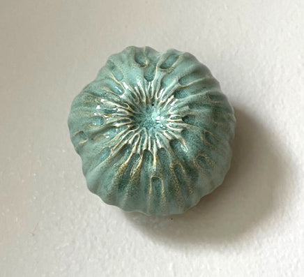 25-30  Minty Green Sea Bloop Pod