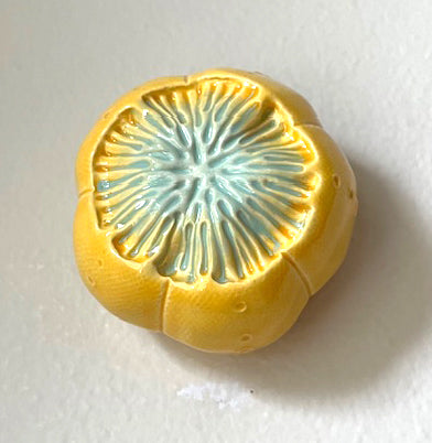 25-32  Yellow and Mint Sea Urchin Pod