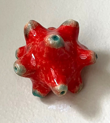 25-36  Red and Blue Sea Spine Pod