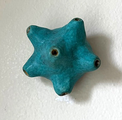 25-38  Aqua Sea Star Stretch Pod