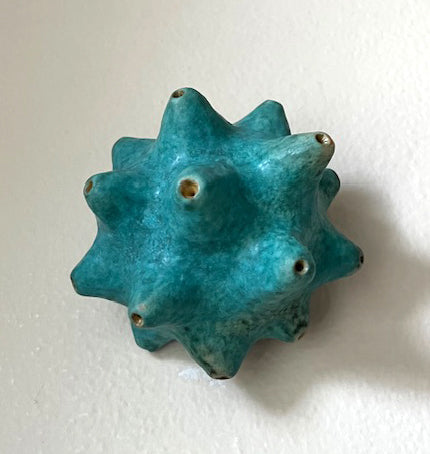 25-39  Aqua Probing Sea Spine Pod