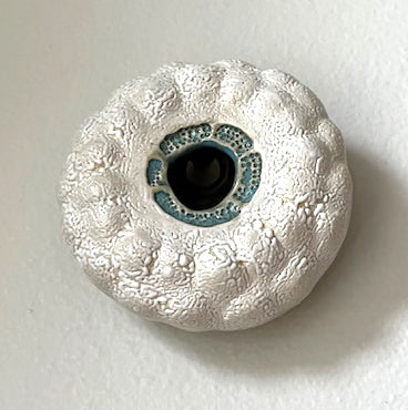25-41  White and Green Sea Portal Pod