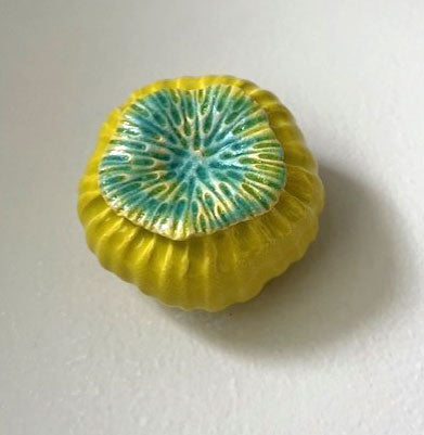 39-24. Chartreuse and Blue Poppy Pod