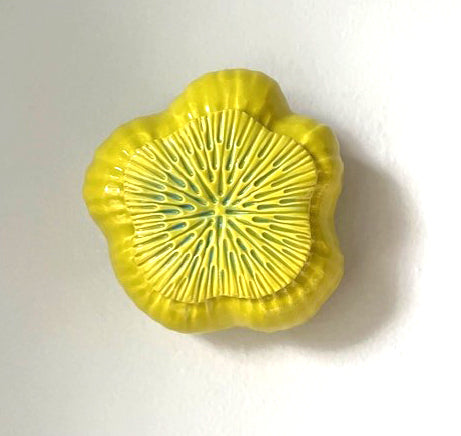 53-24 Chartreuse Sea Poppy Pod