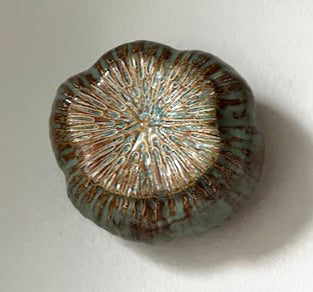 55-24 Green & Brown Sea Poppy Pod Earthenware