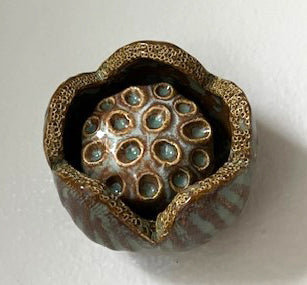 56-24 Green & Brown Lotus Flower Pod