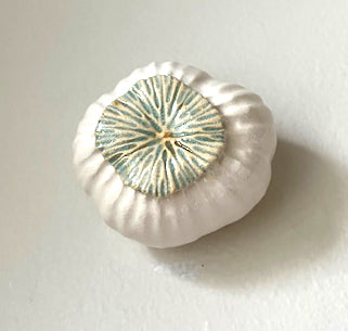 69-24 White Sea Poppy Pod