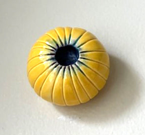 70-24 Yellow Barnacle Pod