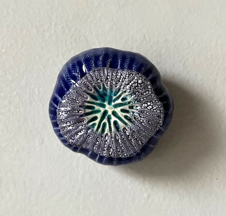 77-24 Blue Sea Poppy Pod