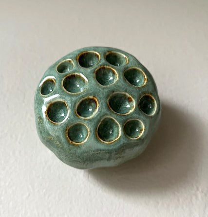 87-24 Green Lotus Seed Pod