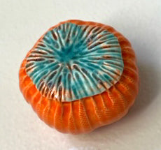 37-23 Orange Sea Poppy Pod