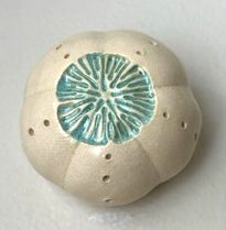 47-23 White and Aqua Sea Urchin Pod