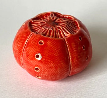 77-23 Red Sea Urchin Pod