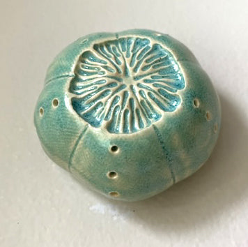 87-23 Blue Sea Urchin Pod