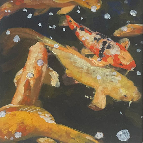 61. Koi No. 22 (Appointment Only)