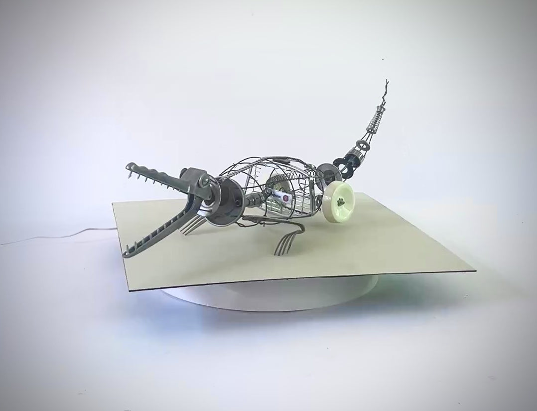24. Robo Gator