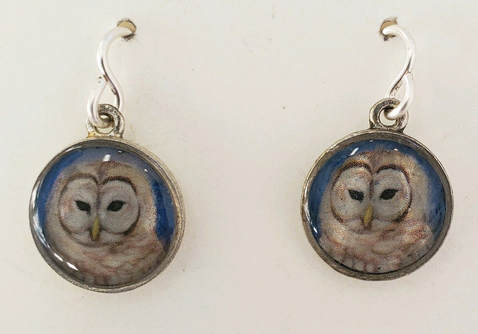 54. Owl Earrings