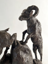 Load image into Gallery viewer, B012. Mountain Goats (in shop)
