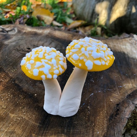 04. double mushroom yellow