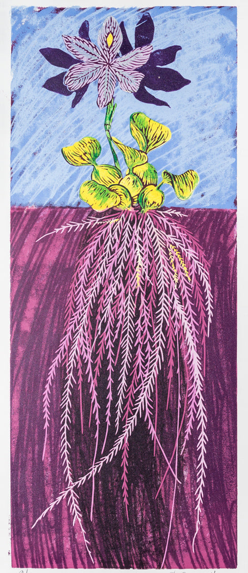 41. Water Hyacinth (unframed)