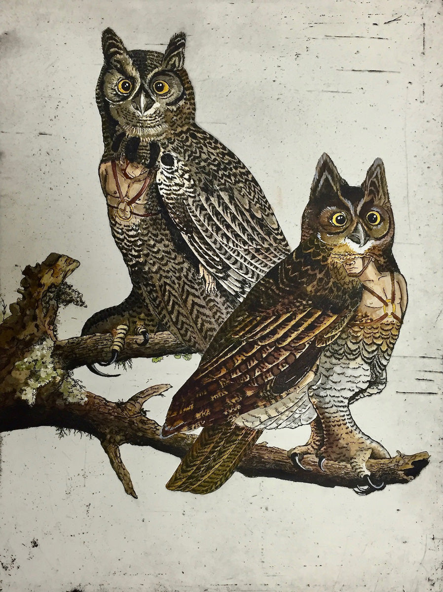 2. Horned Owl
